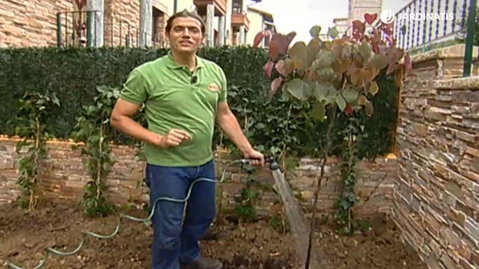 plantacion del arbol del amor 2 brico 468 jardinatis plantacion del arbol del amor 2 brico 468 jardinatis