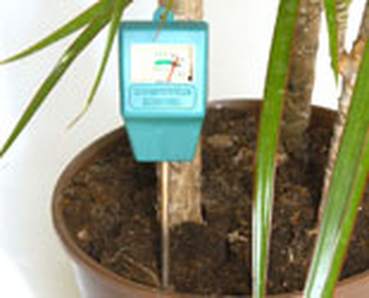 339 rieg plan int p02