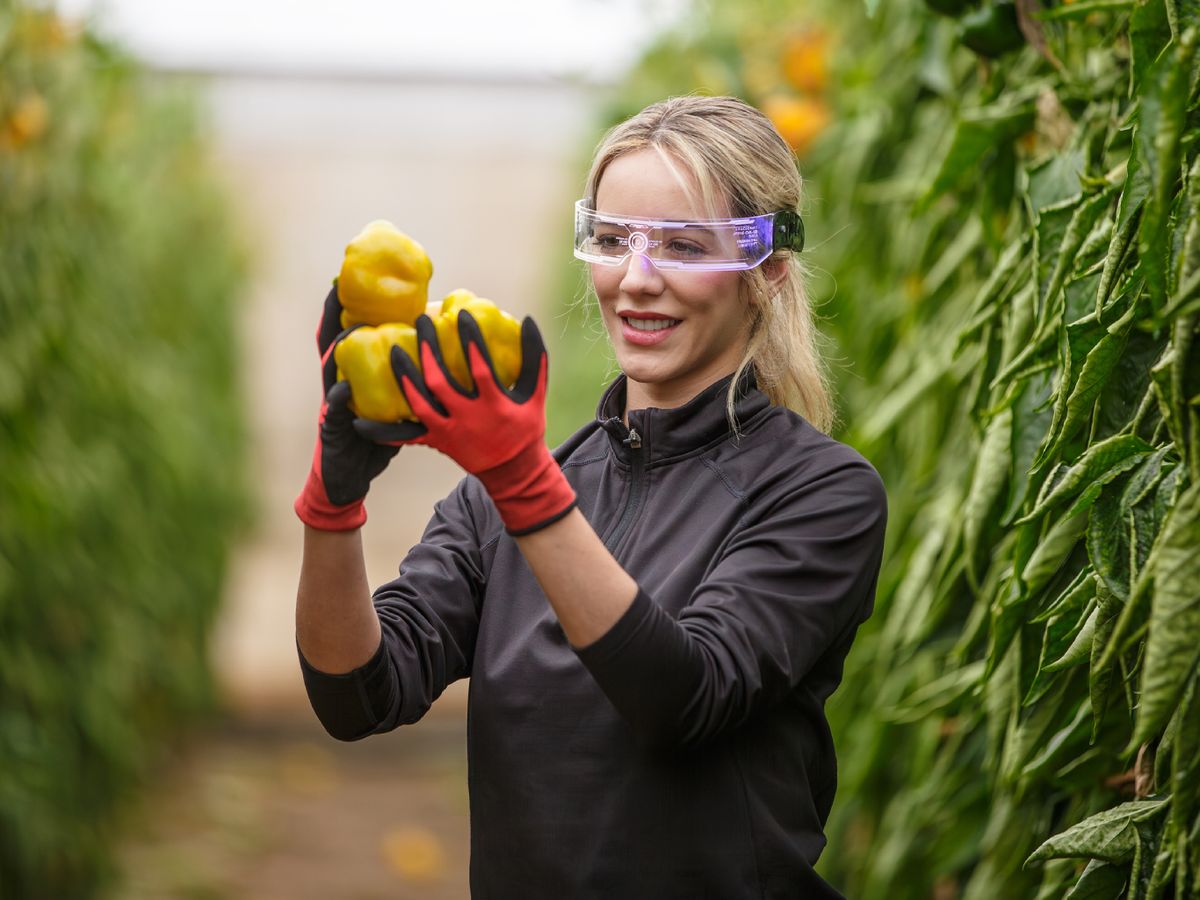La agricultura del futuro combina tecnología e innovación para llevar productos más frescos a la mesa.
