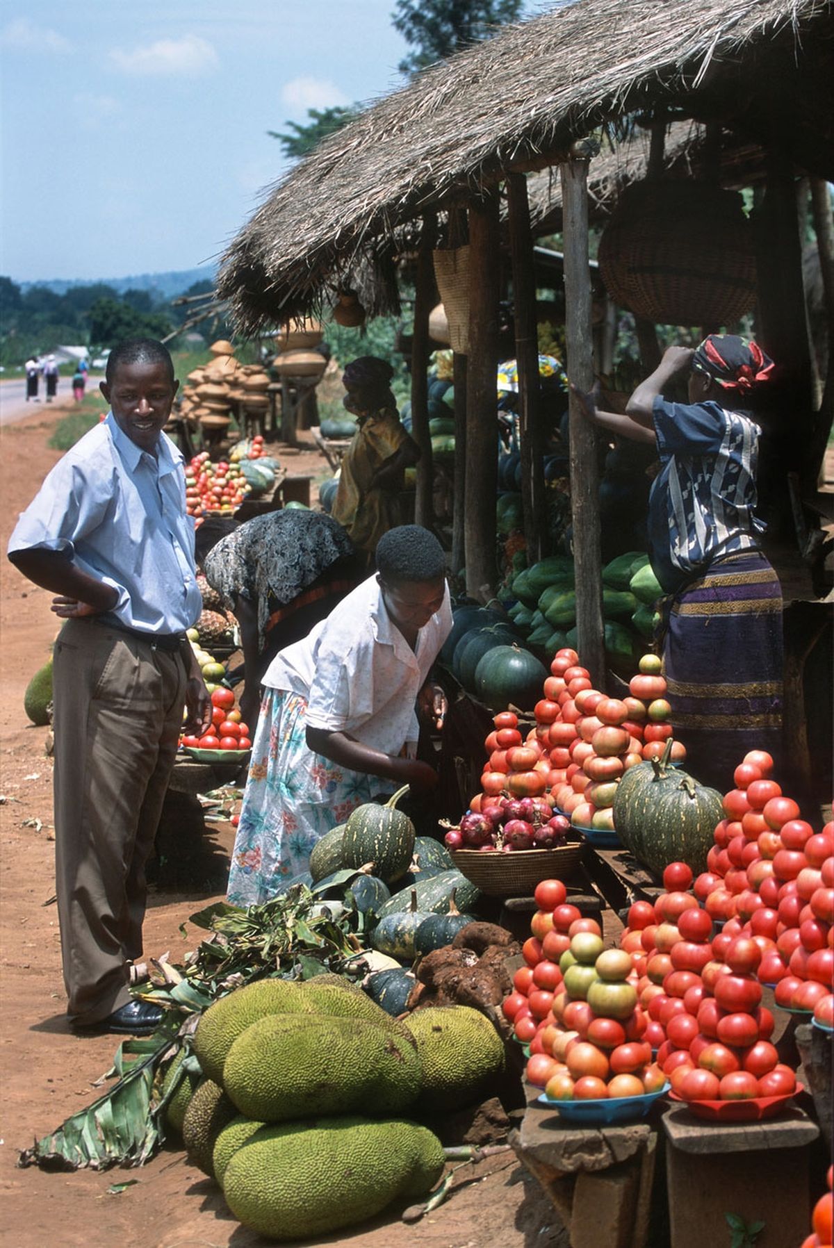 fruta de pan mercado uganda