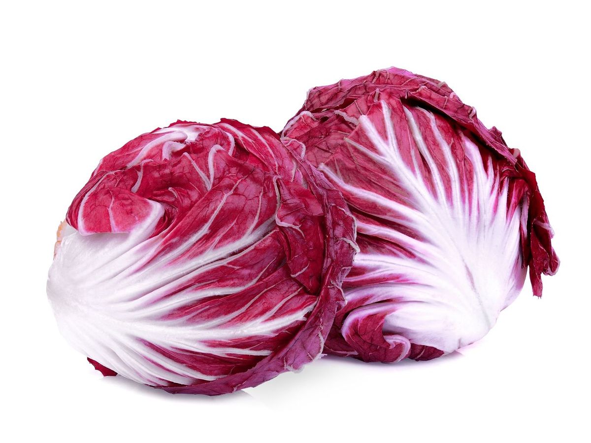 Lechuga radicchio