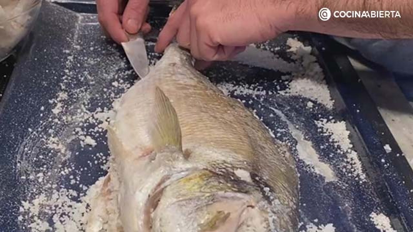 dorada a la sal 4 dorada a la sal 4
