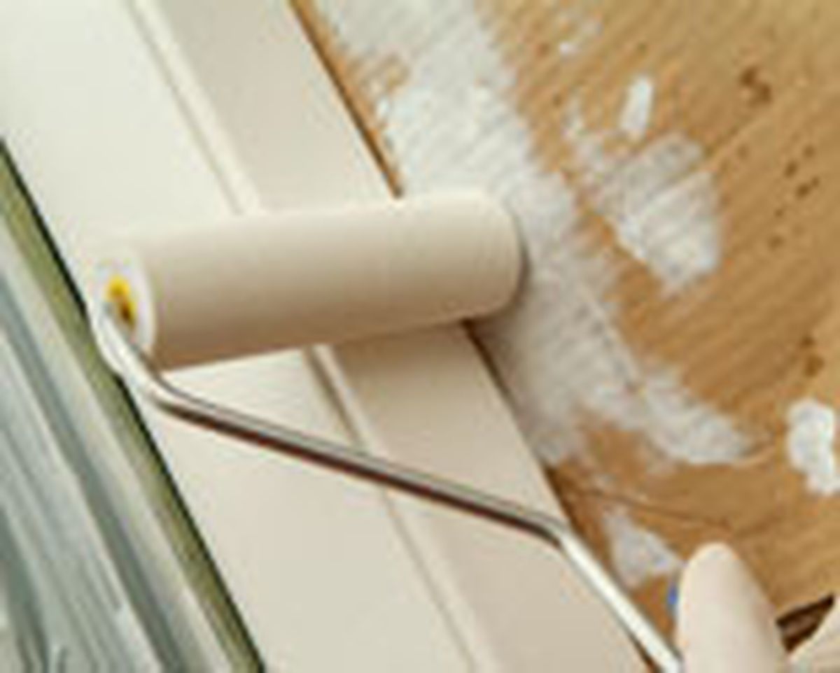 brico 0472 Pintar canaleta exterior paso 5