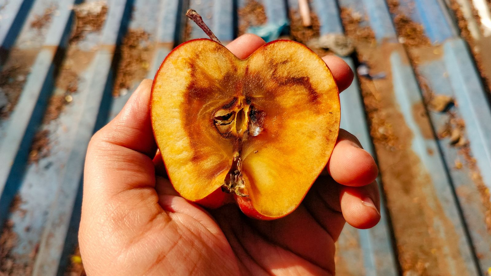 Al quedarse marrón, decimos que la fruta está oxidada