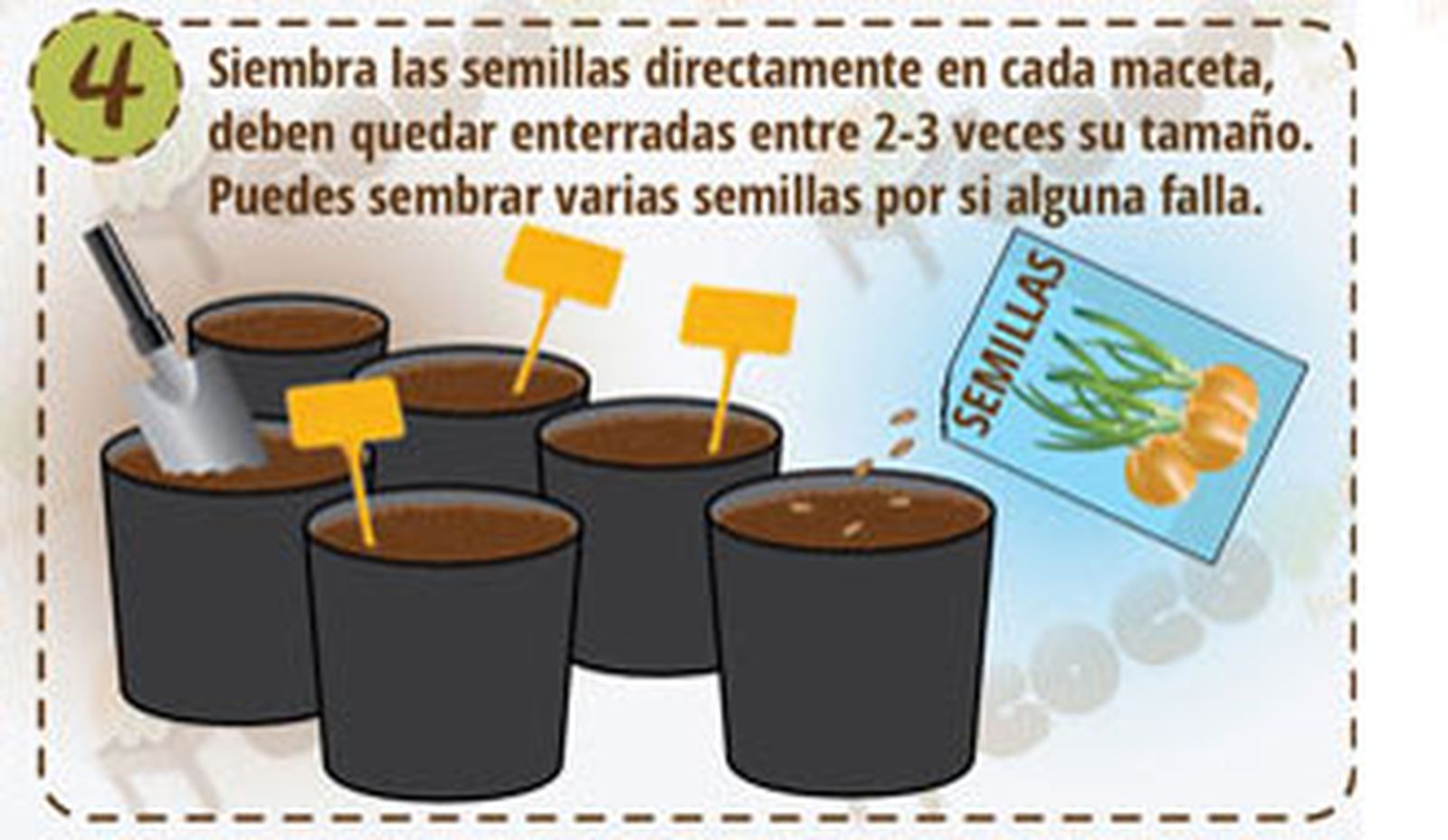 Siembre directa 4 Siembre directa 4
