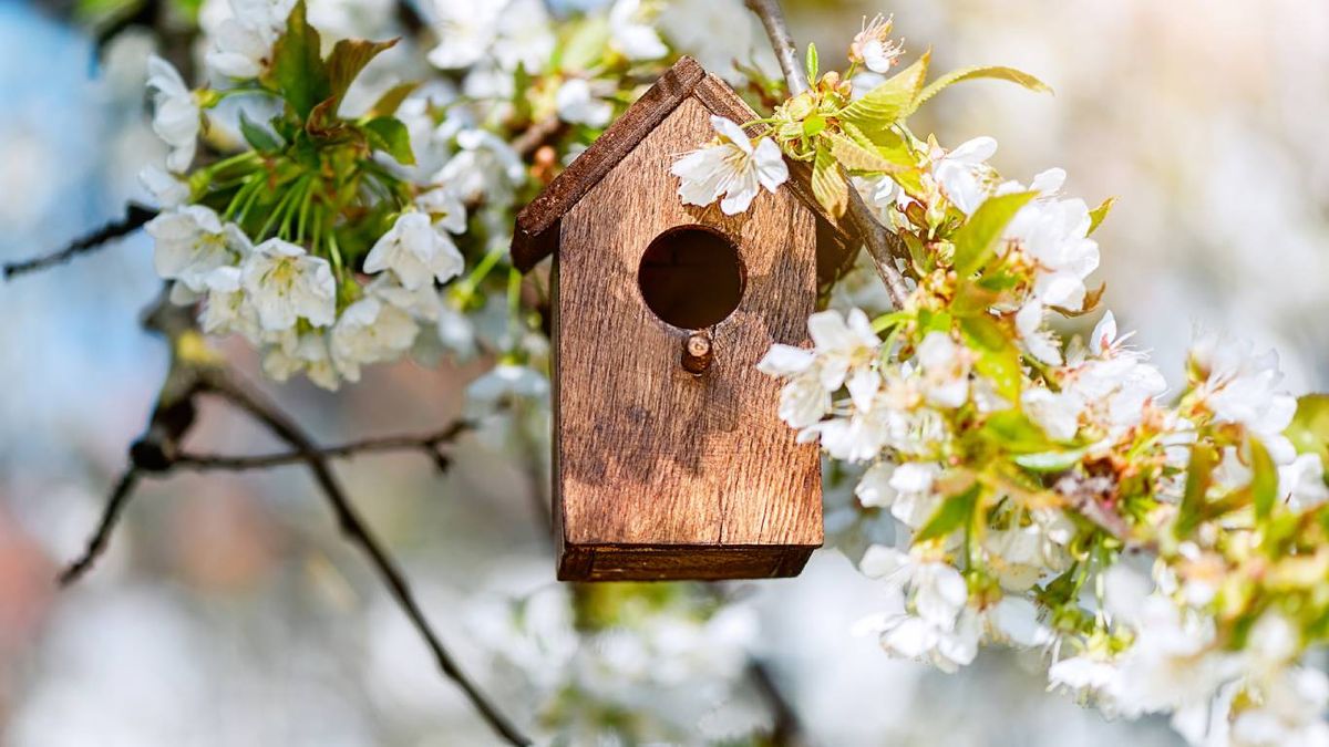 Fomentan la biodiversidad