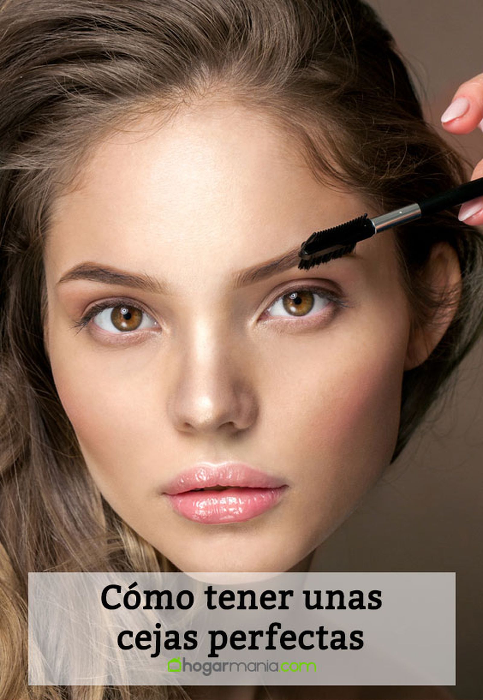 como tener unas cejas perfectas pin como tener unas cejas perfectas pin