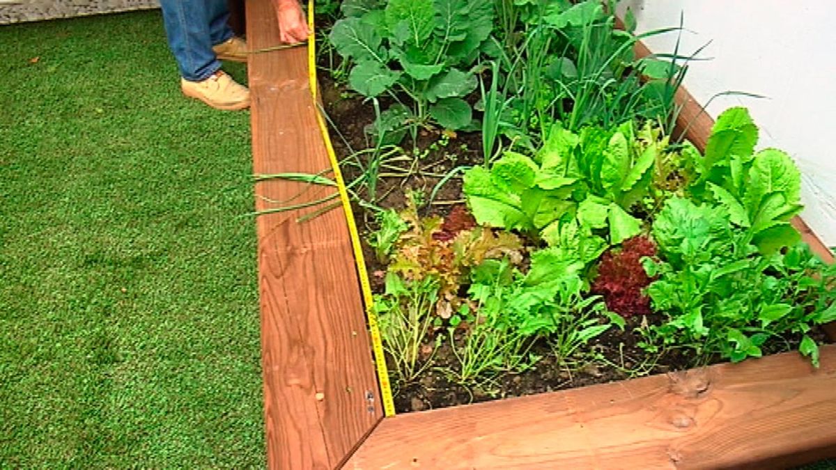 Cómo hacer un sistema de riego por goteo paso 1