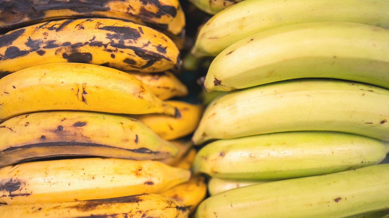 Diferencias entre plátano y banana
