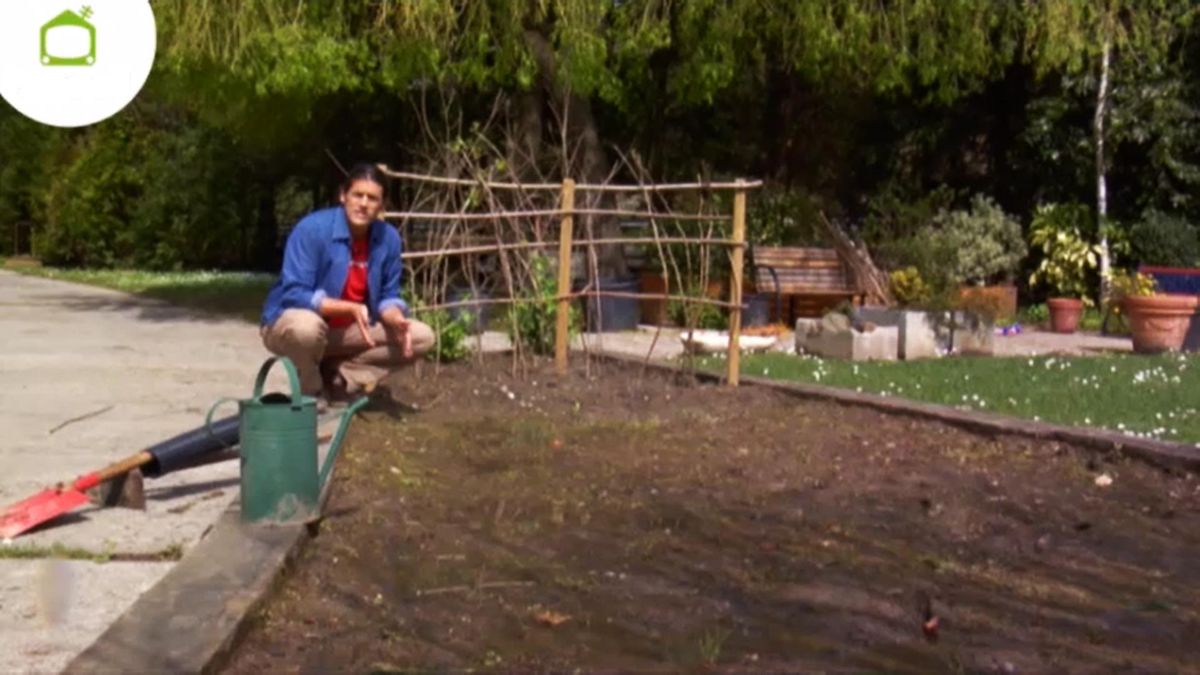 BRICO_JARDIN_789_Instalar drenaje en el jardin inigo