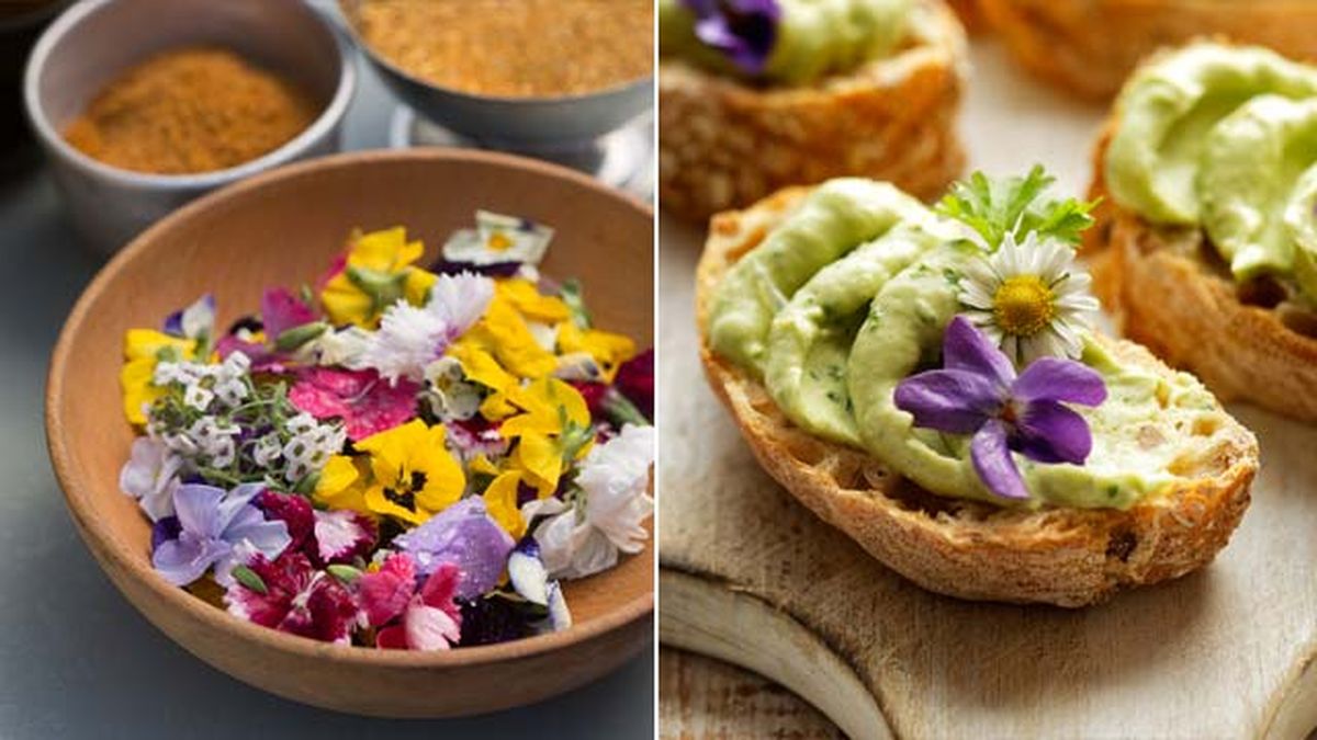 uso culinario flores comestibles