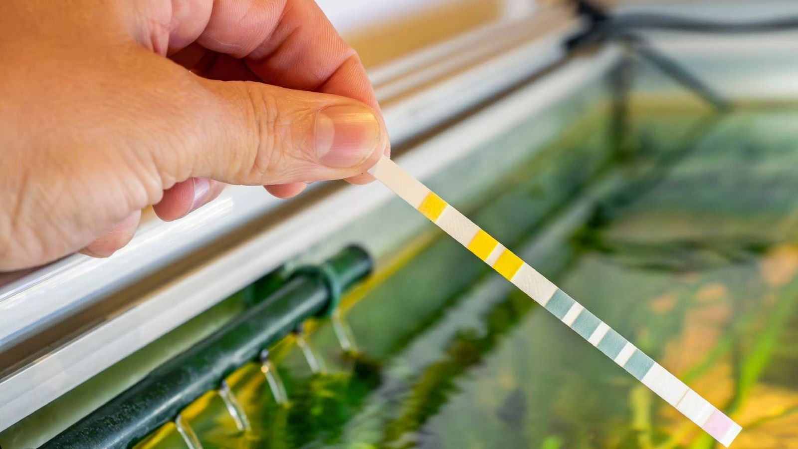 El pH es una medida que expresa la concentración de iones de hidrógeno (H&#8314;) en el agua.