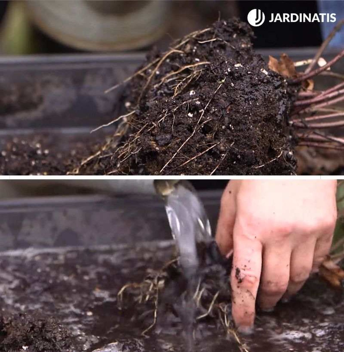 Añade poco a poco agua