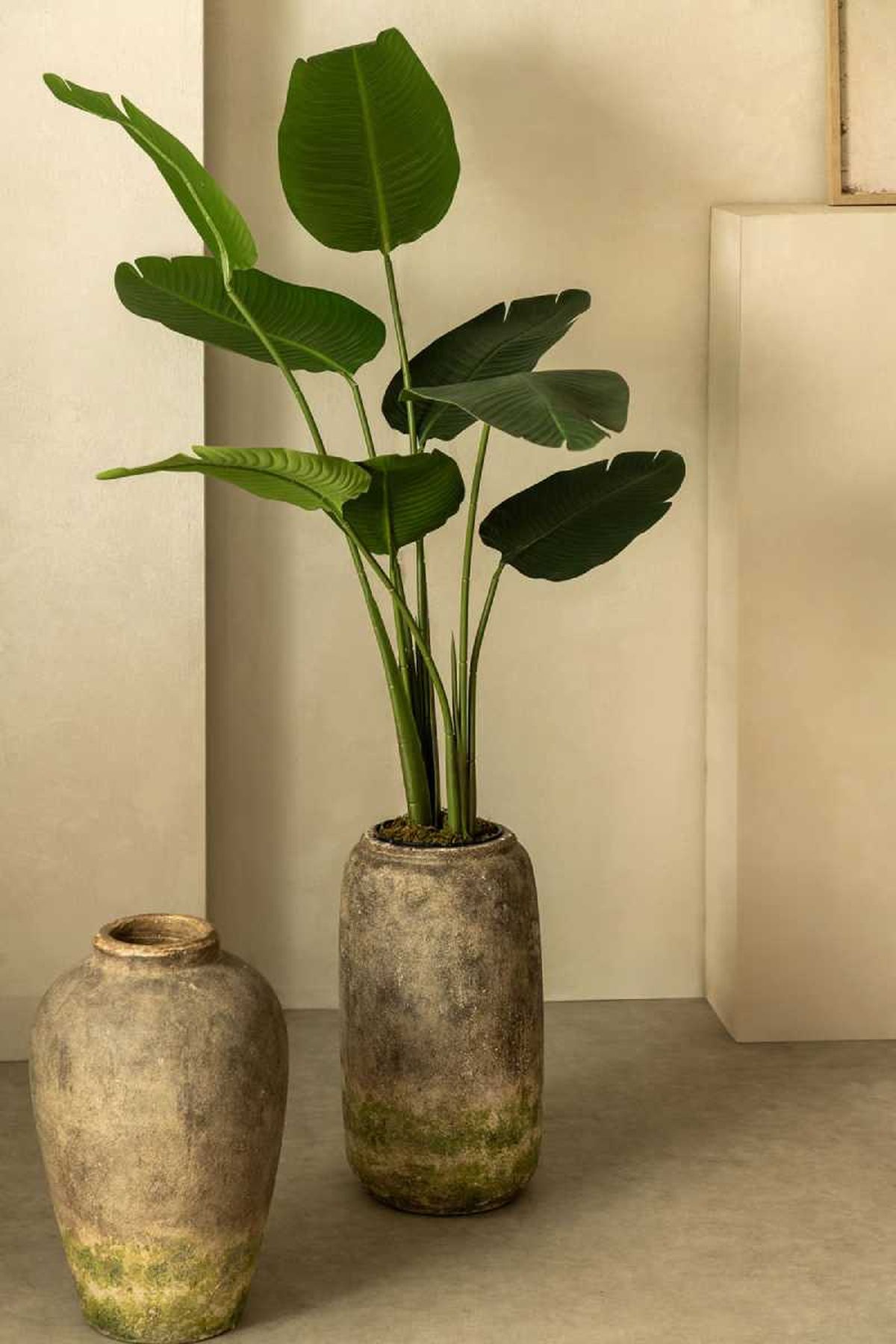 Planta artificial grande Strelitzia.