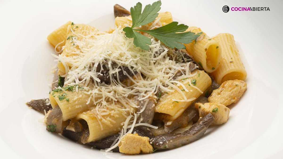 KARL6890 rigatoni setas xl