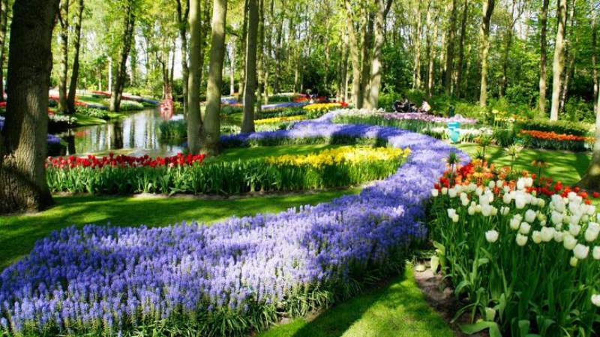 Campo de flores de los jardines de Keukenhof.