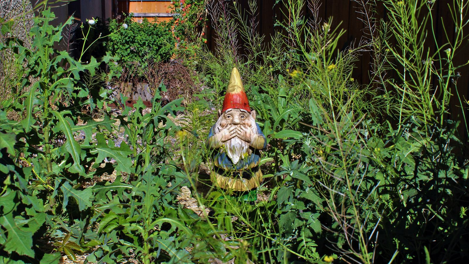 La retirada manual de las malas hierbas es la más efectiva