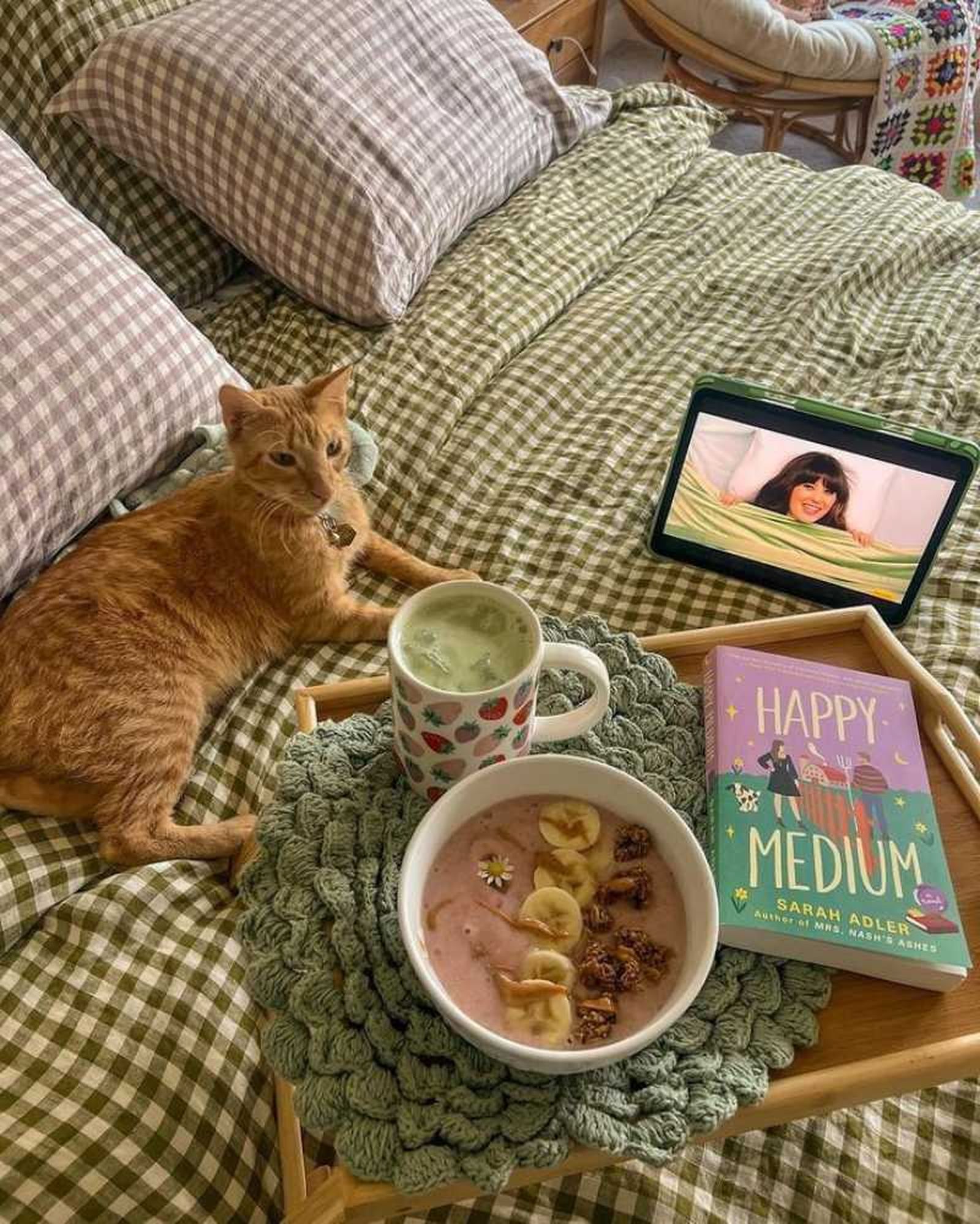 Un gatito sobre una cama de cuadros verdes campestres. Un gatito sobre una cama de cuadros verdes campestres.