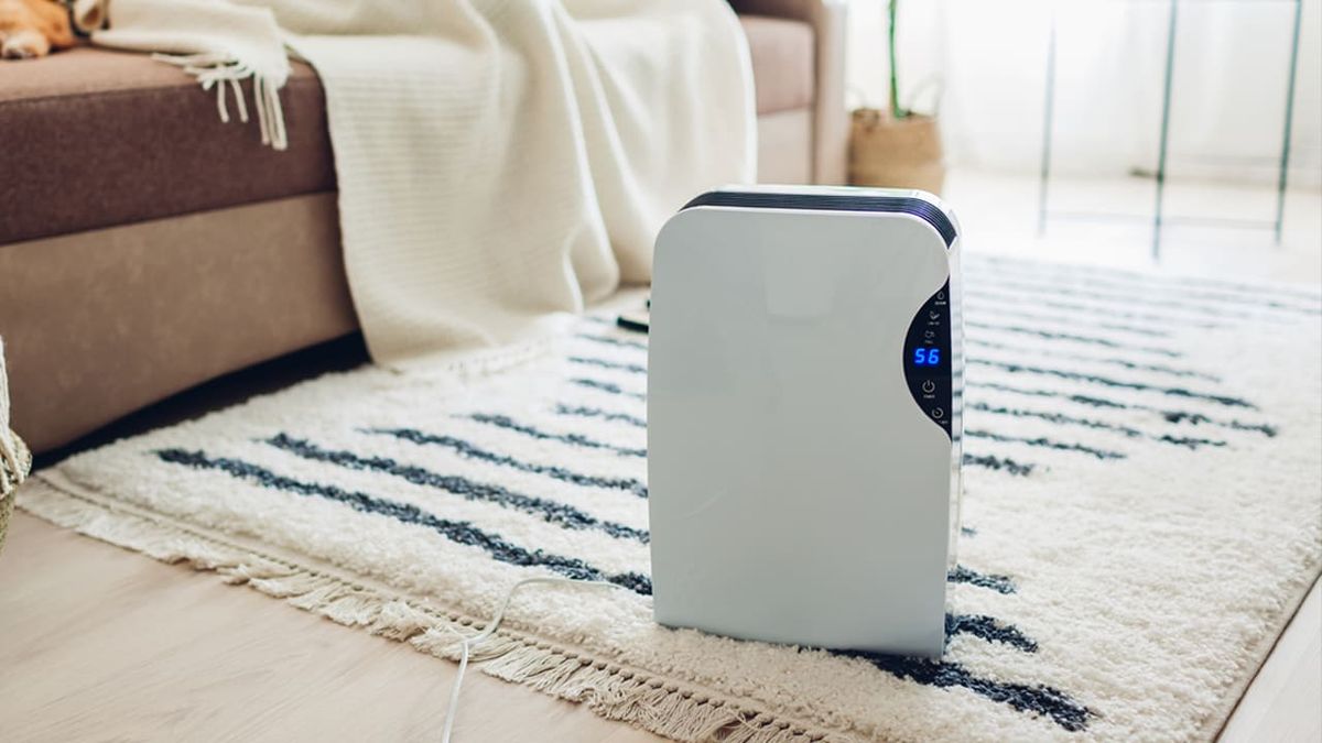 deshumidificadores plano