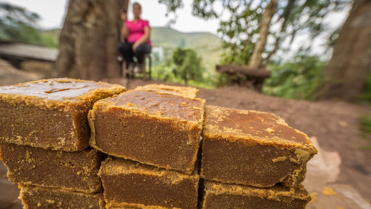 Bloques de panela artesanal elaborados en zonas rurales de Colombia, donde su producción es una tradición viva que sostiene a miles de familias.