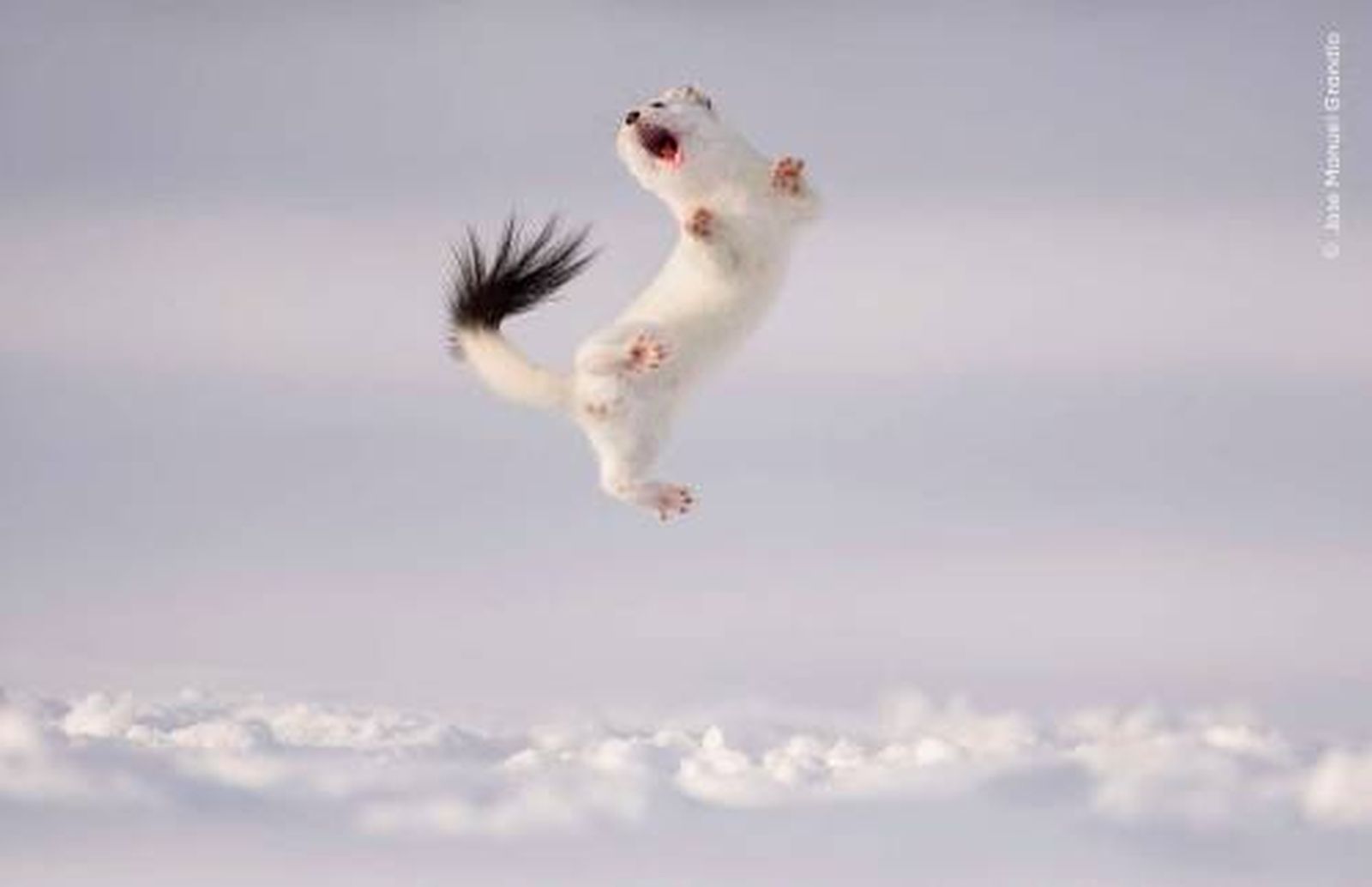 Twist and Jump. Twist and Jump.