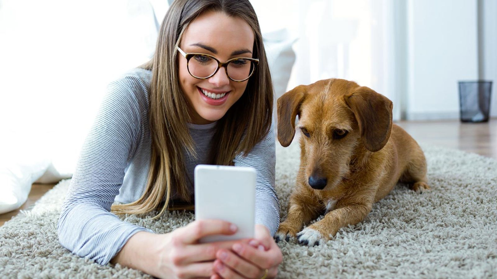 perro con dueña mirando el móvil