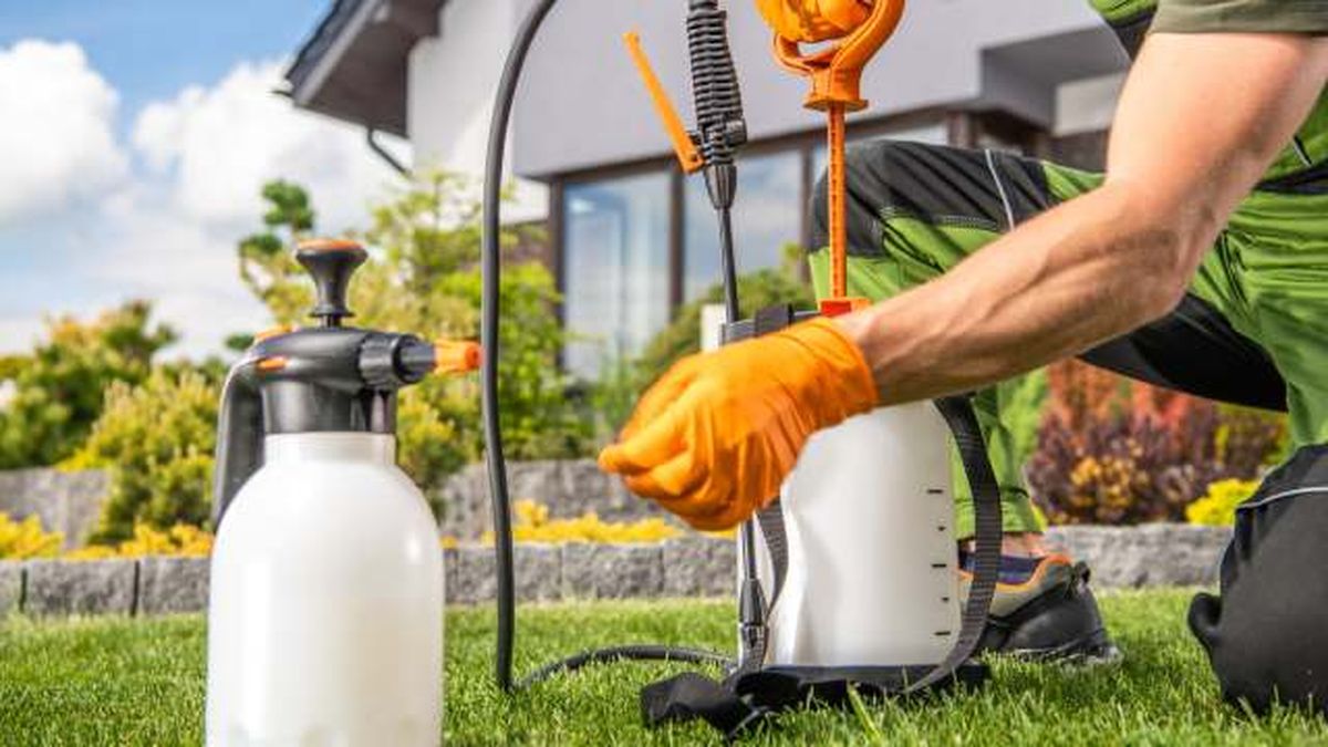 mejor momento para aplicar sulfato de cobre