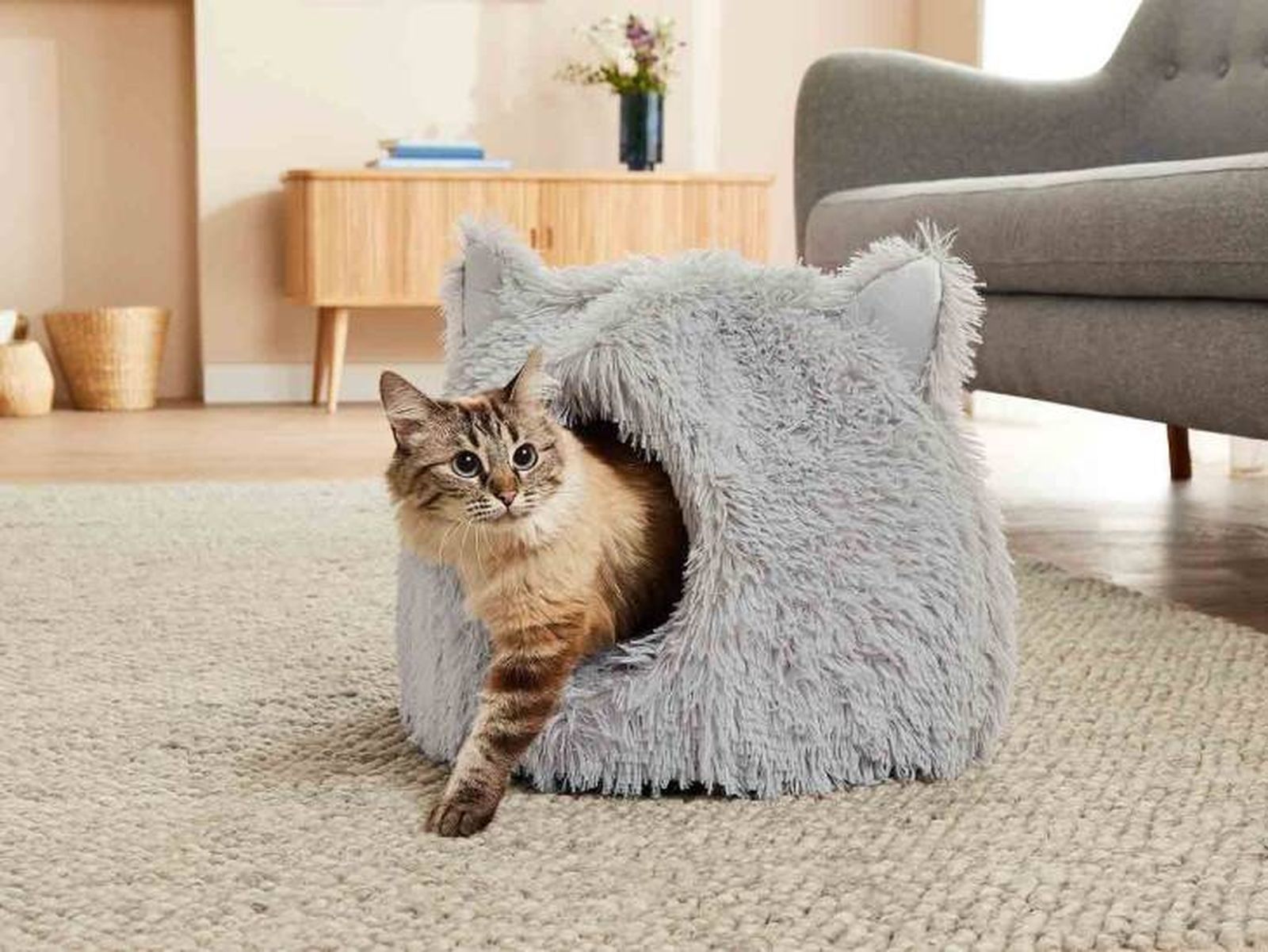 cueva gatos lidl cueva gatos lidl