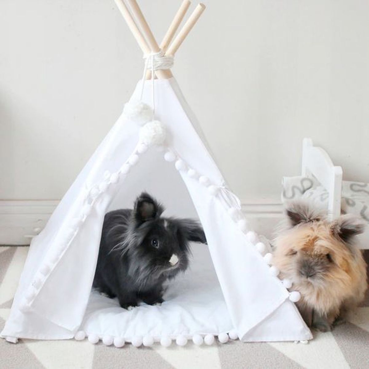 tipi para conejos