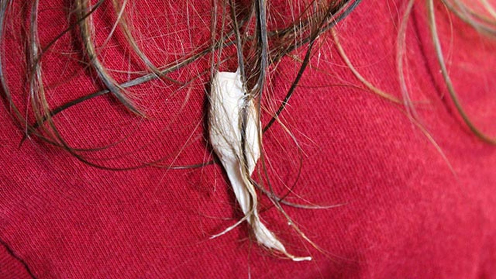 trucos para quitar un chicle del pelo 1 trucos para quitar un chicle del pelo 1