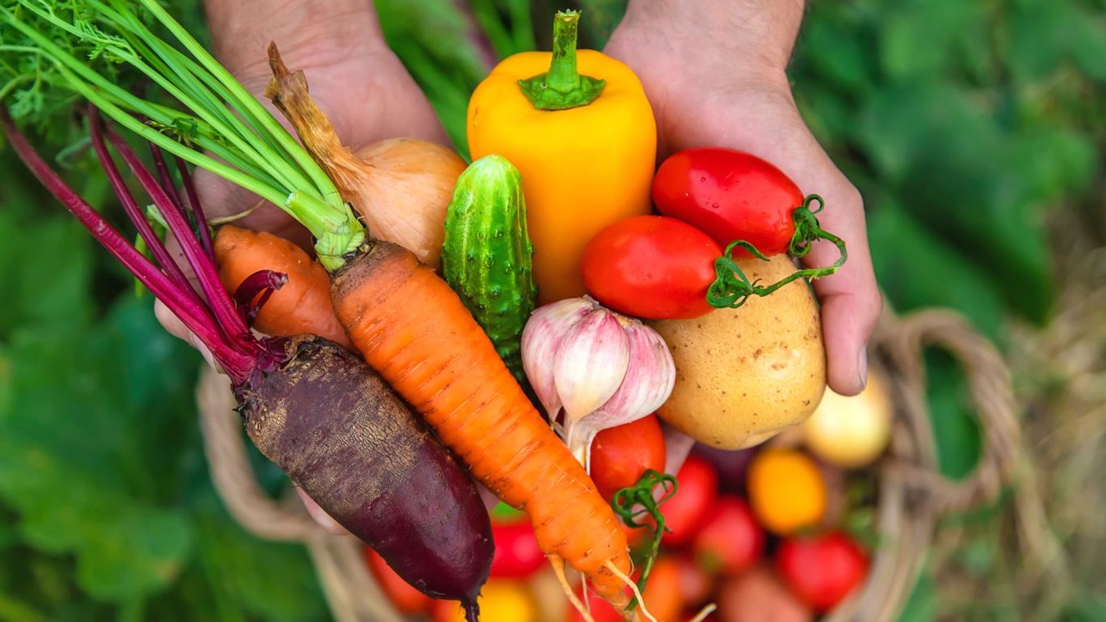 Verduras de verano