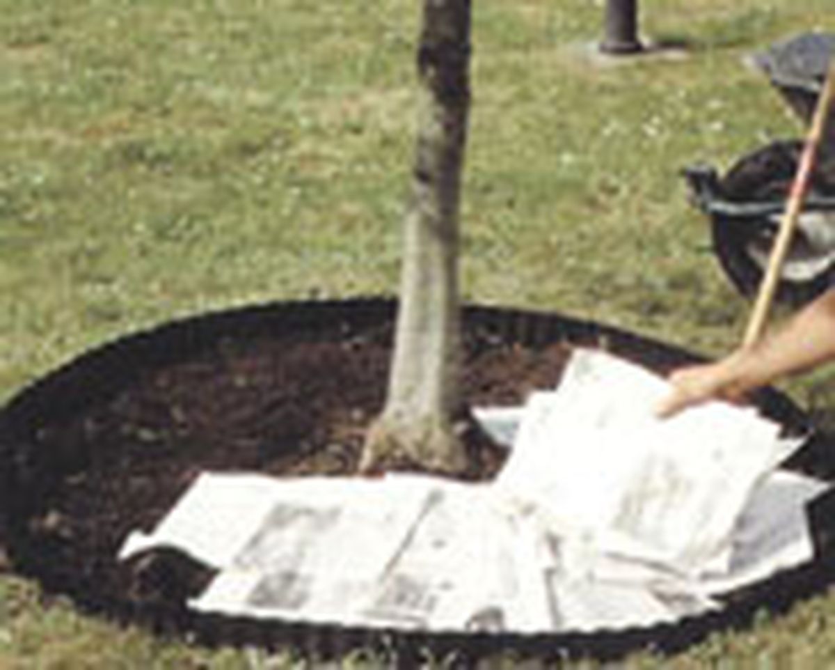 realizar acolchado p2