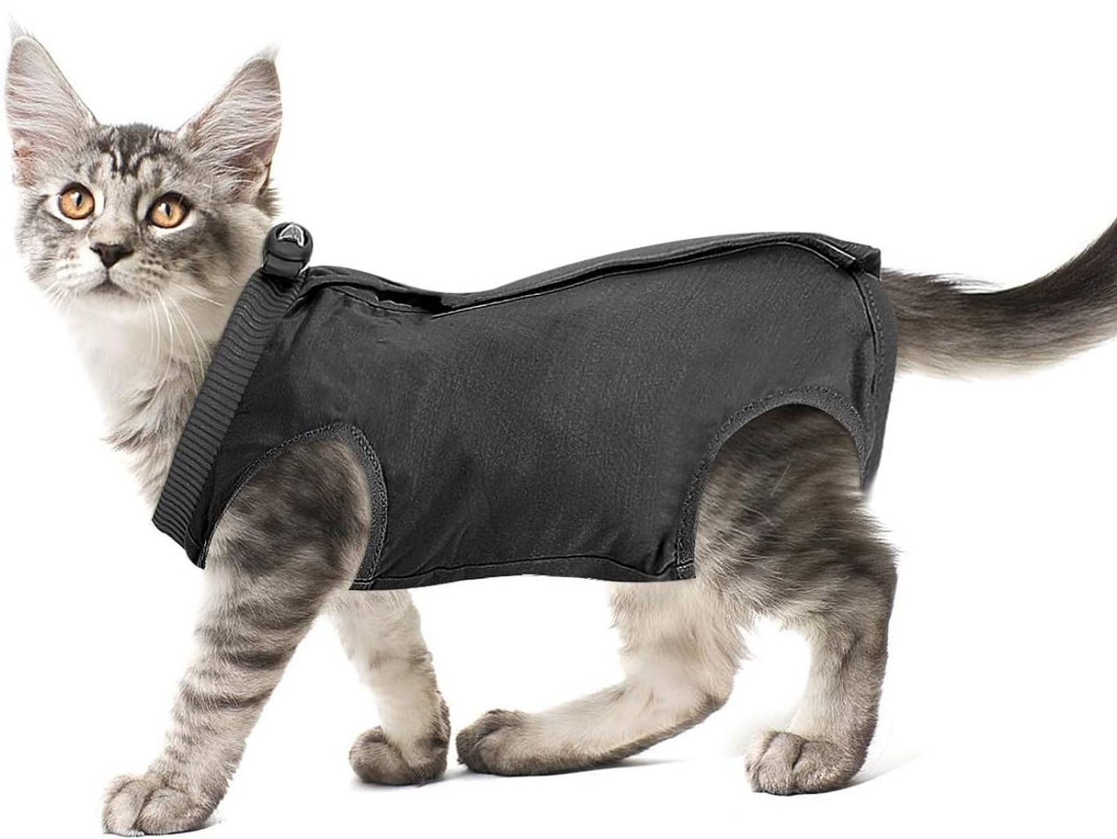 Los trajes postoperatorios para gatos están diseñados para ajustarse al cuerpo sin limitar su movilidad.