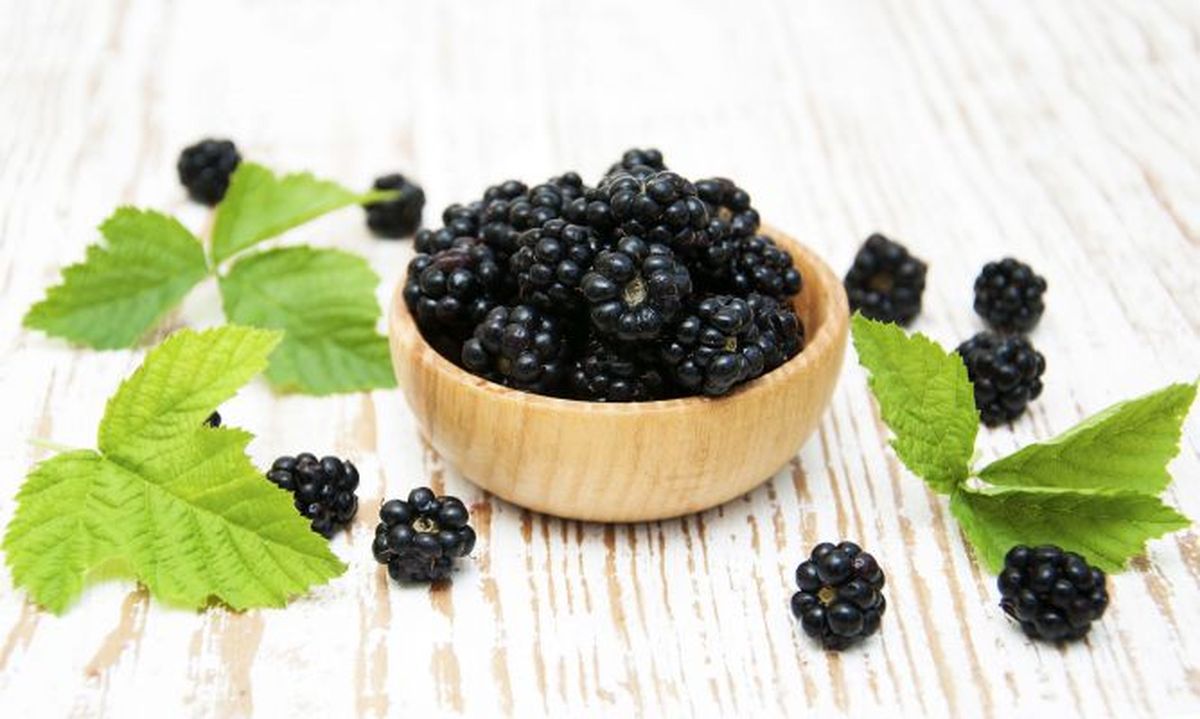 moras xl 668x400x80xX