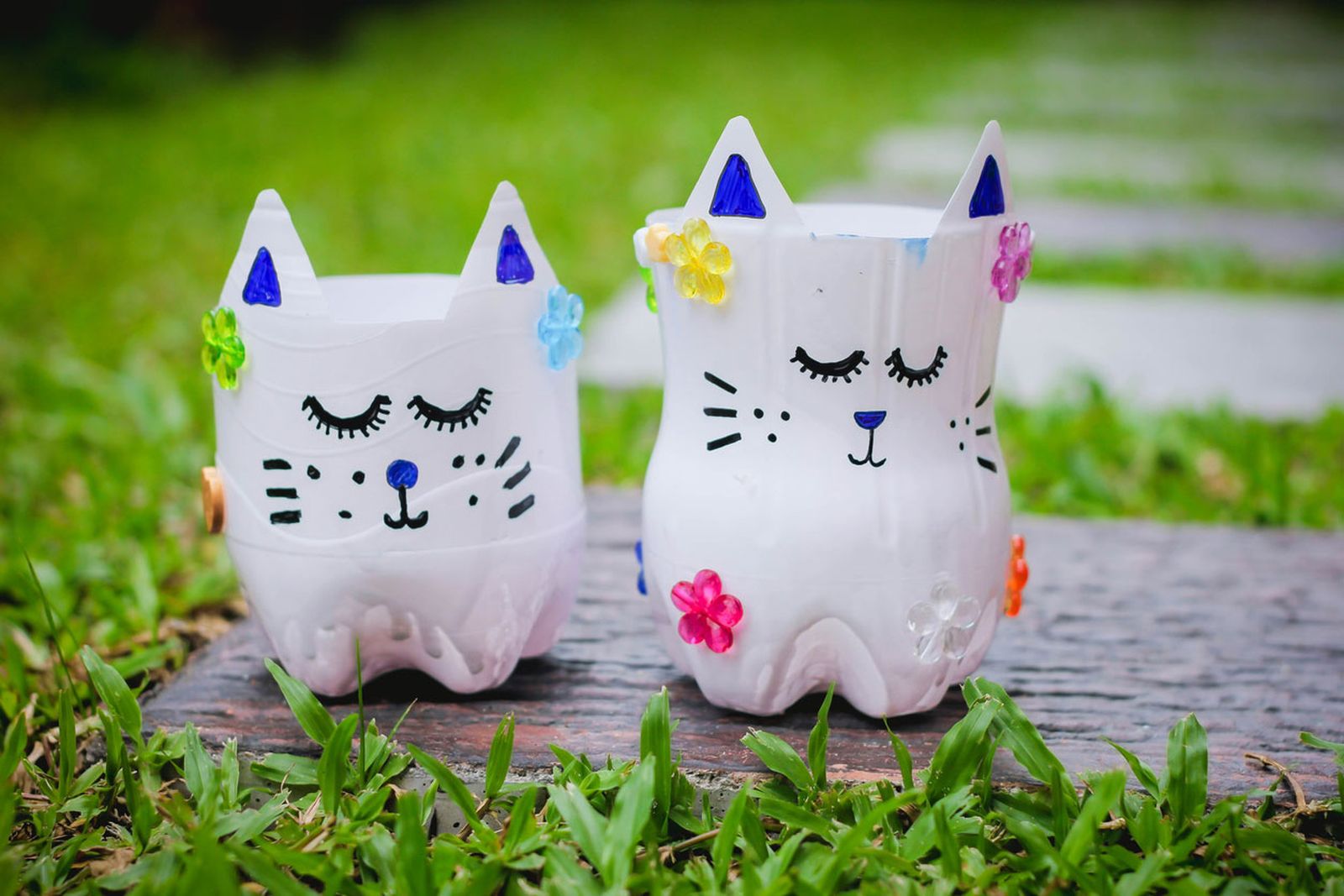 tiestos gatitos plastico paso 3 tiestos gatitos plastico paso 3
