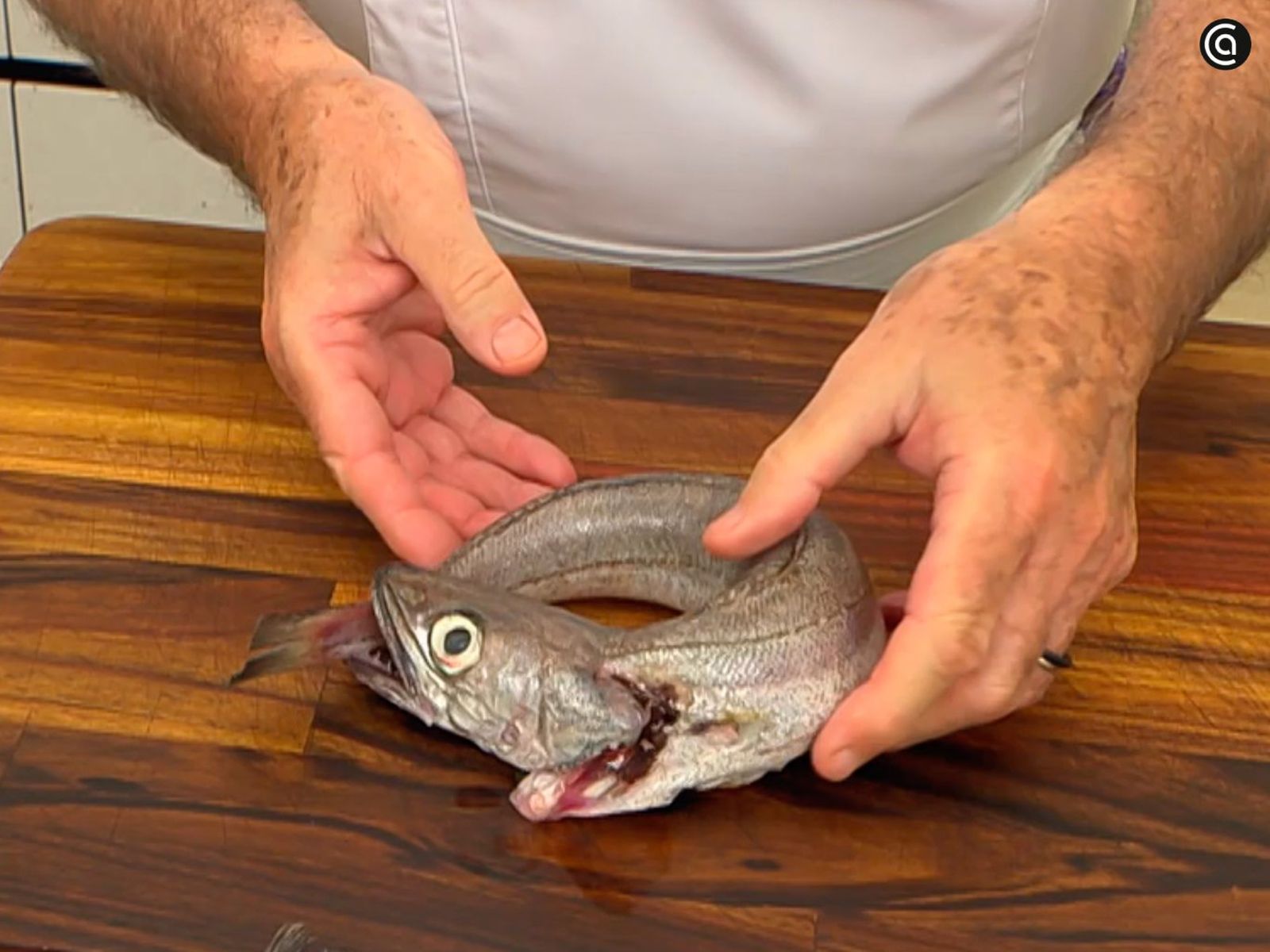 Pescadilla que se muerde la cola