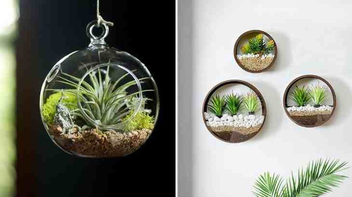 idea colgar claveles del aire 4