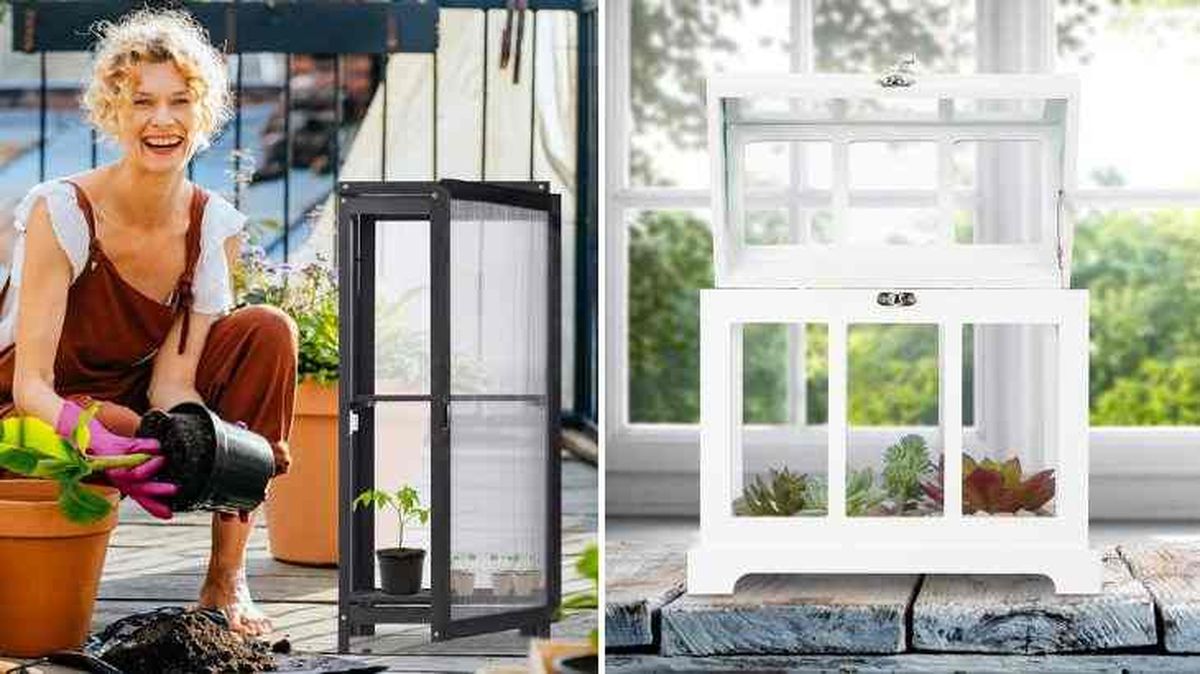 mini invernaderos para el invierno 4