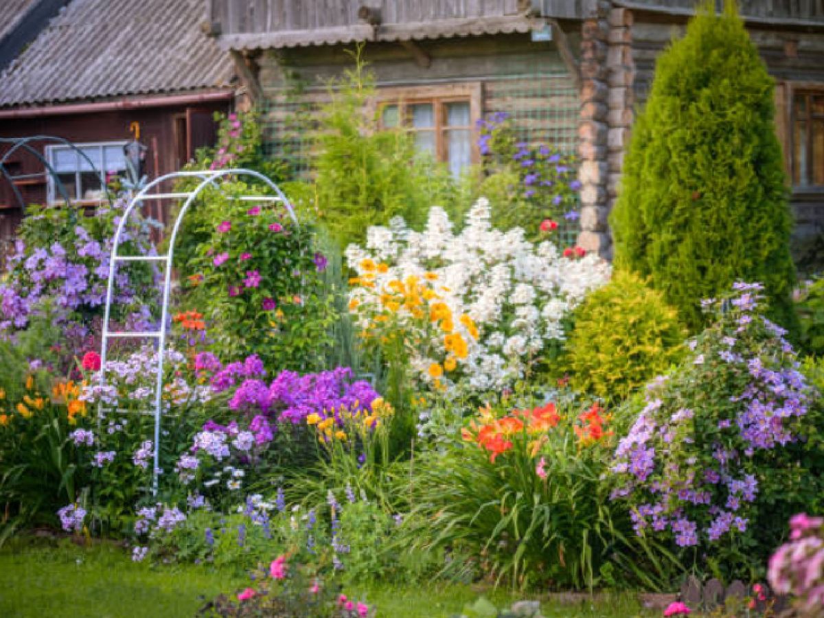 Las flores silvestres añaden colorido a tu jardín