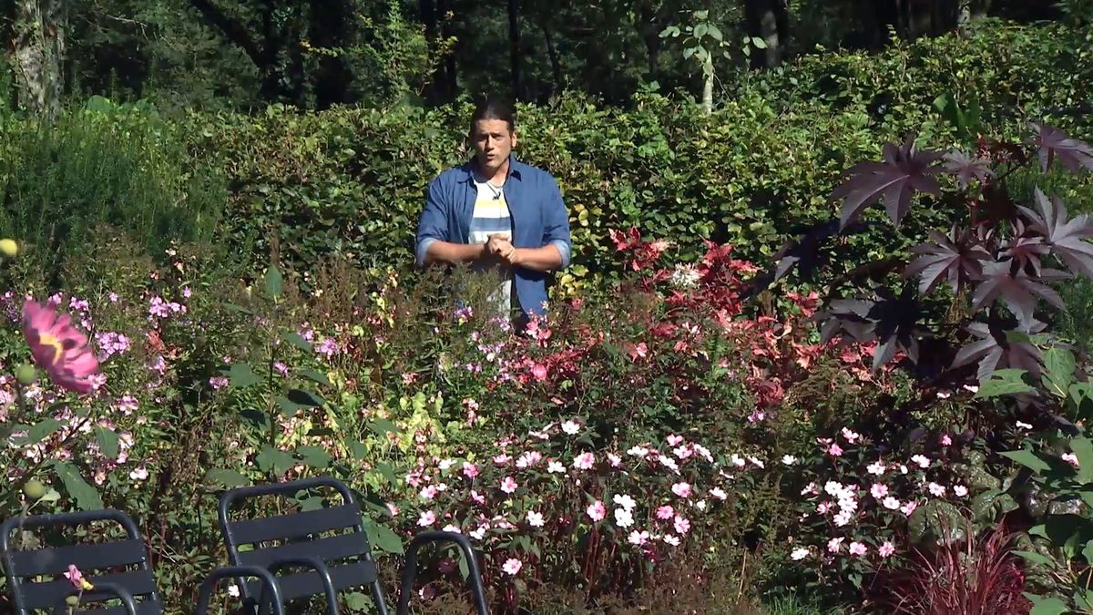 deko0706 jardin otono tonos rosas detalle