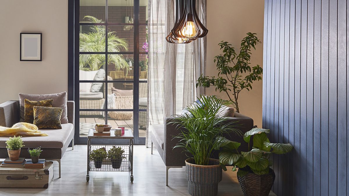 Juega con plantas de diferentes texturas y combina macetas