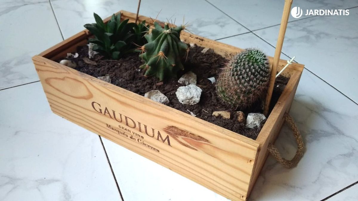 reciclar cajas vino para tus plantas xl