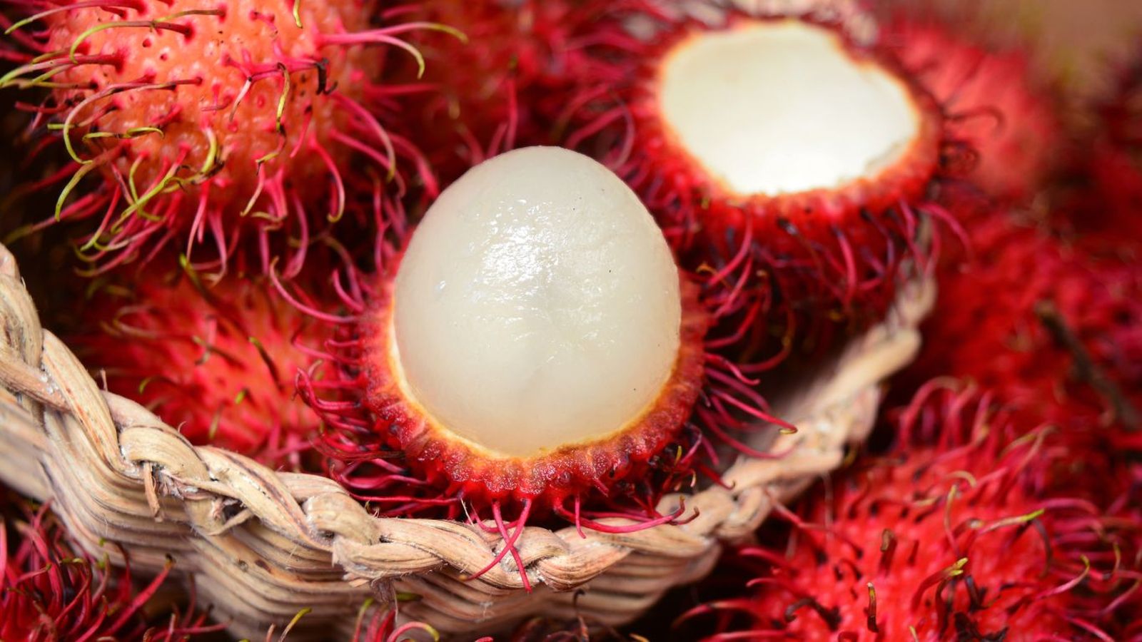 Fruta rambután