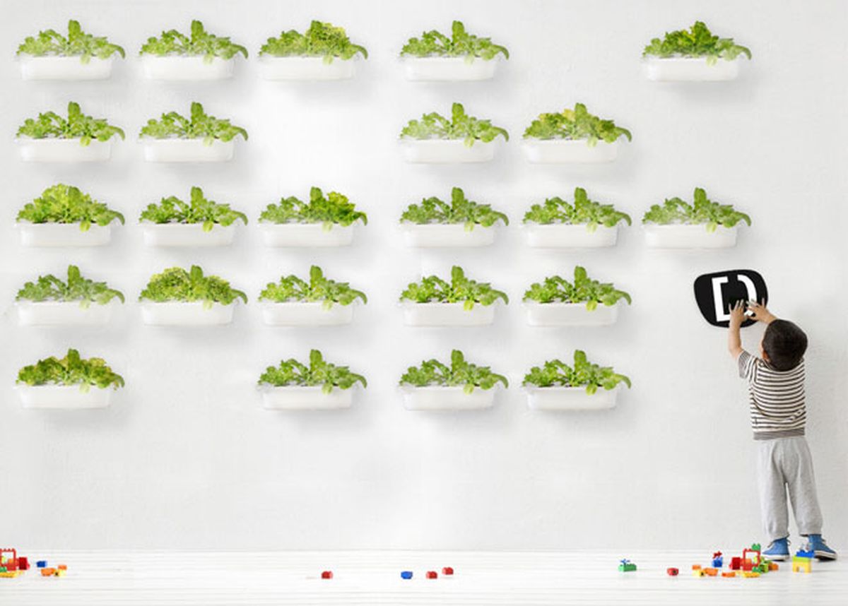 decoracion vegetal jardin interior 5