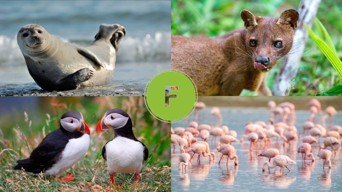 Plantilla Letras (1)