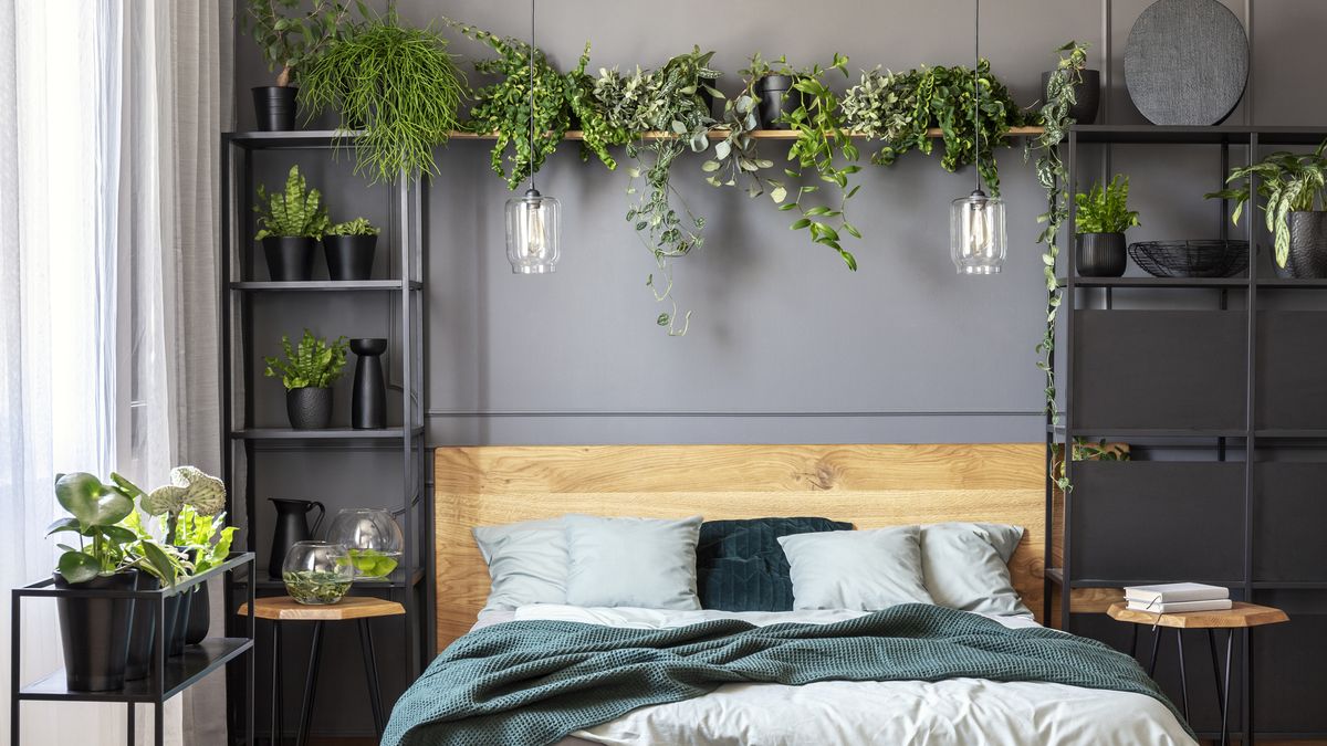 Las plantas aportan energía positiva al hogar