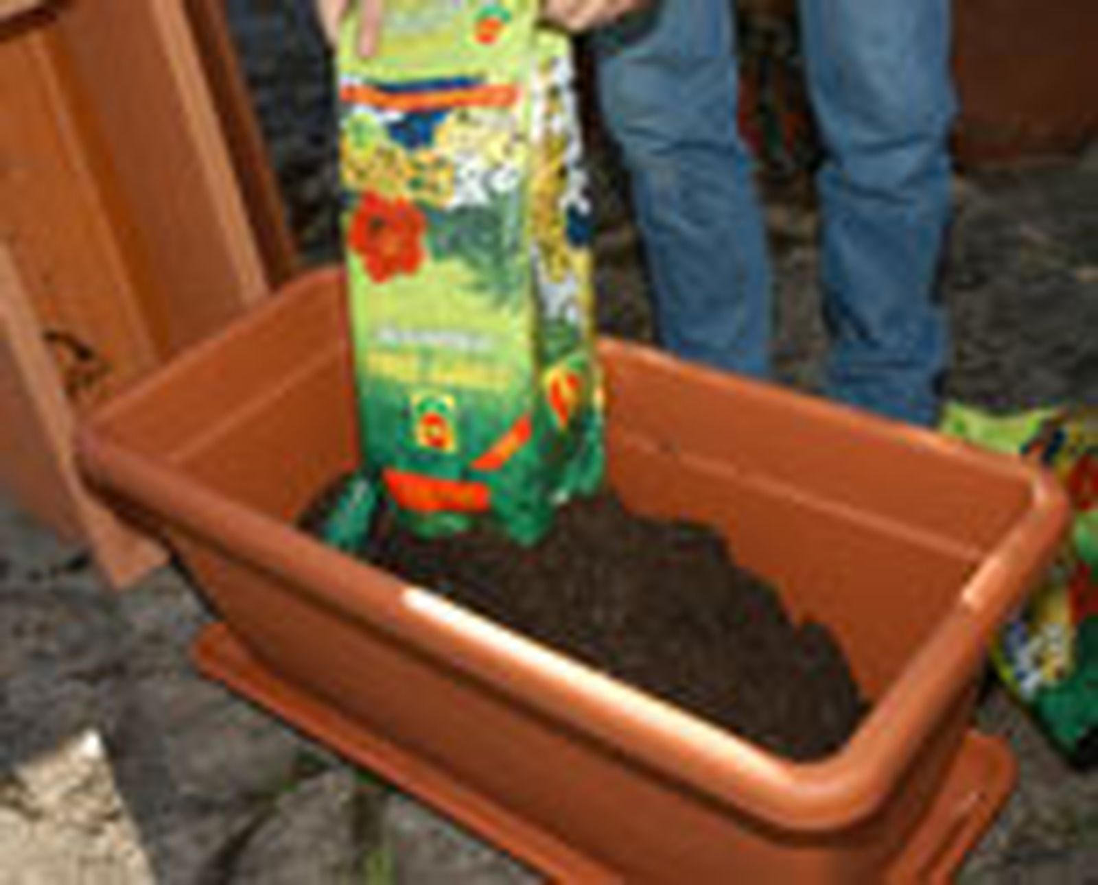 328 pant veg jard p03 328 pant veg jard p03