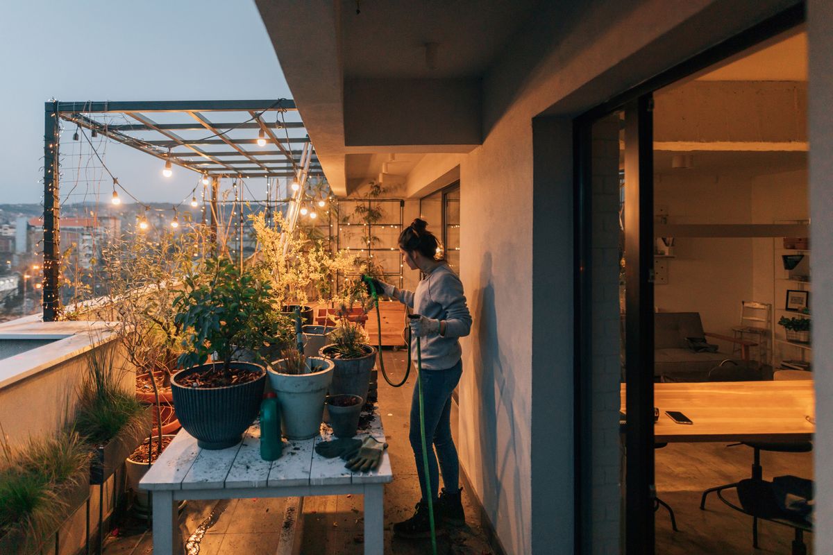 Mujer regando sus plantas al anochecer.
