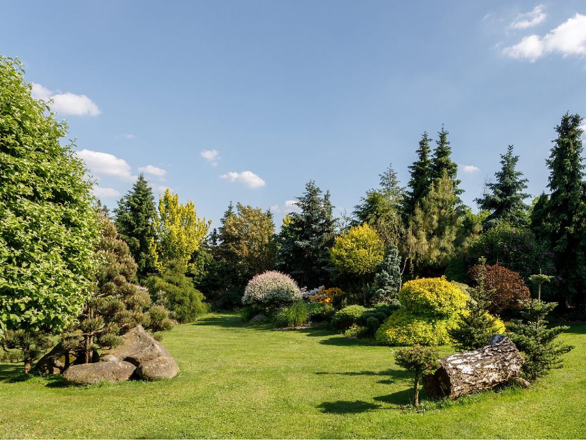 El diseño eficiente del jardín naturalista minimiza su mantenimiento