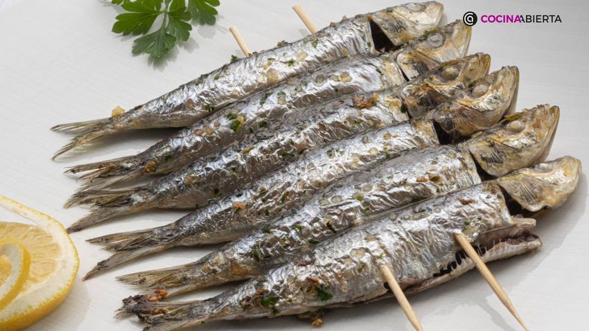 karl7209 sardinas aceite ajo xl